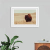 “Tall Grass Bison I“, Nathan Larson