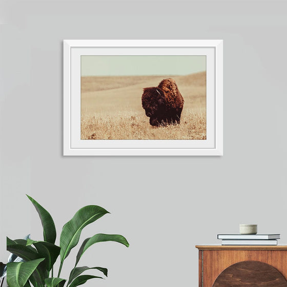 “Tall Grass Bison I“, Nathan Larson