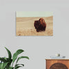 Bring the majestic beauty of the American prairie into your home with Nathan Larson’s “Tall Grass Bison I.” This stunning artwork captures a serene moment as a bison grazes amidst the golden hues of tall grass, bathed in the warm afternoon sun. Perfect for nature lovers and wildlife enthusiasts, this print adds a touch of rustic elegance to any space.