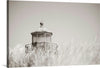 “Oregon Coast Lighthouse Neutral“, Nathan Larson