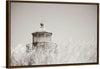 “Oregon Coast Lighthouse Neutral“, Nathan Larson