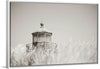 “Oregon Coast Lighthouse Neutral“, Nathan Larson