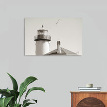  Nathan Larson's "Lighthouse Fly Over" captures a timeless moment of serenity at the edge of the sea. A graceful seagull soars above a solitary lighthouse, its silhouette contrasting against the vast expanse of sky. The black and white tones enhance the image's sense of peace and tranquility, inviting viewers to contemplate the enduring beauty of the coast.