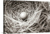“Nesting“, Nathan Larson