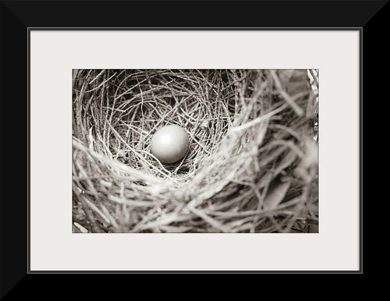 “Nesting“, Nathan Larson