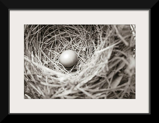 “Nesting“, Nathan Larson