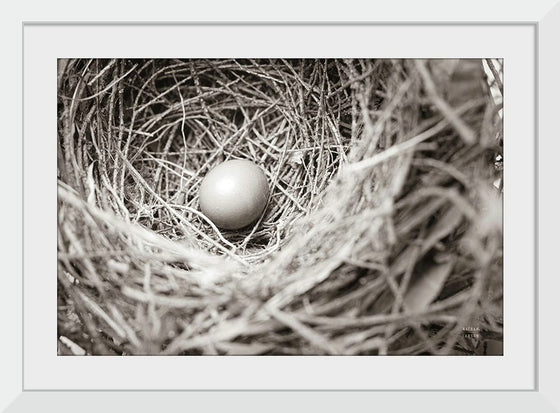 “Nesting“, Nathan Larson