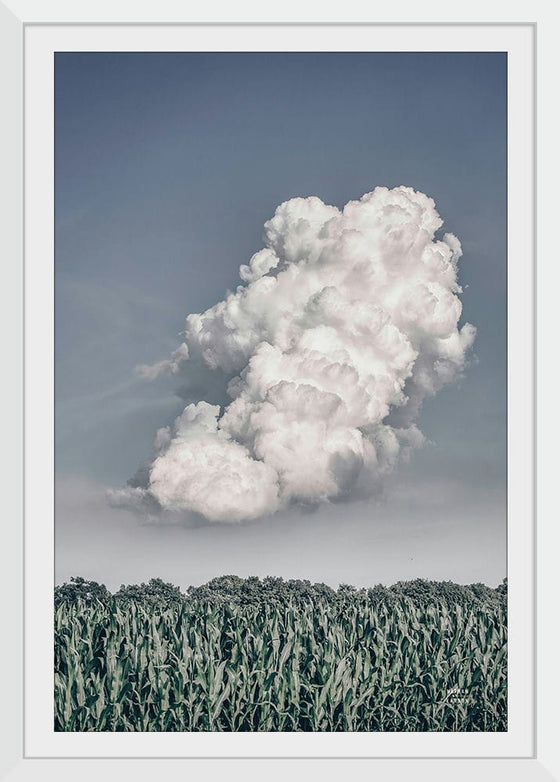 “Cloud Appreciation Day”, Nathan Larson