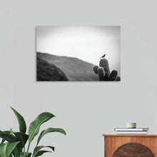  Discover the serene beauty of "On Guard" by Nathan Larson. This black and white photograph captures a solitary bird perched atop a towering cactus, silhouetted against a vast, desert landscape. The minimalist composition and stark contrast evoke a sense of tranquility and resilience, reminding us of the delicate balance of life in the wild. Perfect for those seeking a contemplative and visually striking piece of art to adorn their space.