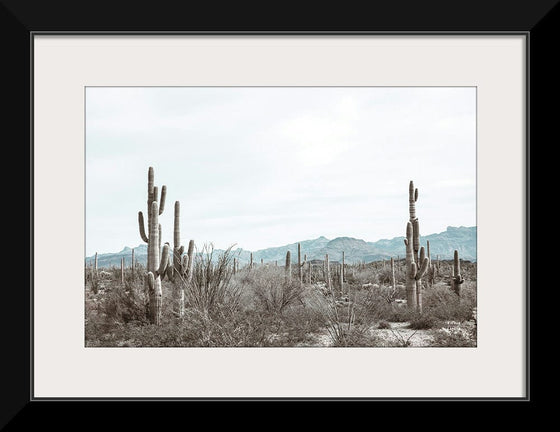 “Sonoran Wonderland“, Nathan Larson