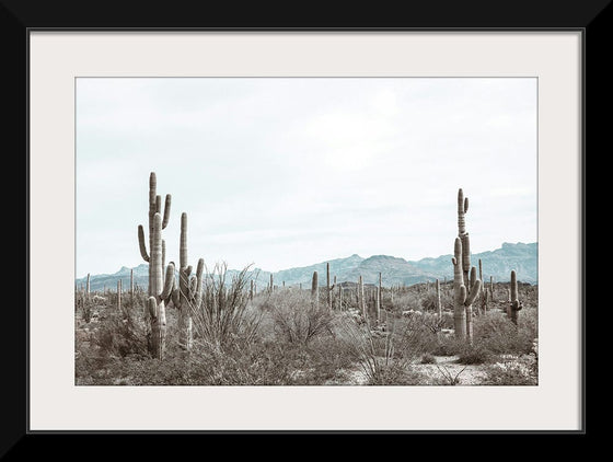 “Sonoran Wonderland“, Nathan Larson