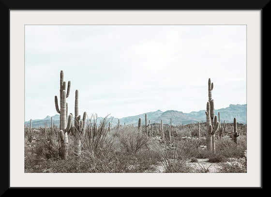 “Sonoran Wonderland“, Nathan Larson