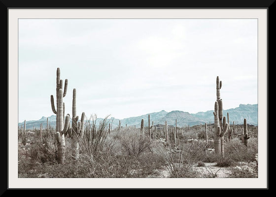 “Sonoran Wonderland“, Nathan Larson