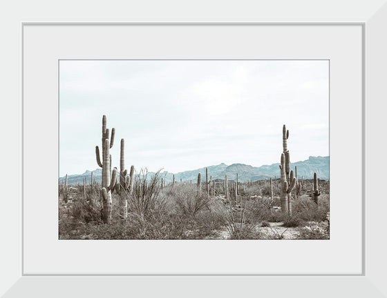 “Sonoran Wonderland“, Nathan Larson