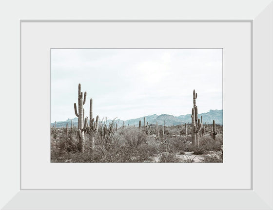 “Sonoran Wonderland“, Nathan Larson