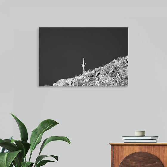 King of the Mountain by Nathan Larson is a striking black and white photograph that captures the rugged beauty of the desert landscape. A solitary saguaro cactus stands tall against a dramatic backdrop of rocky terrain and a vast, cloudless sky. The stark contrast between light and shadow creates a sense of isolation and resilience, making this artwork a powerful meditation on the enduring spirit of nature.