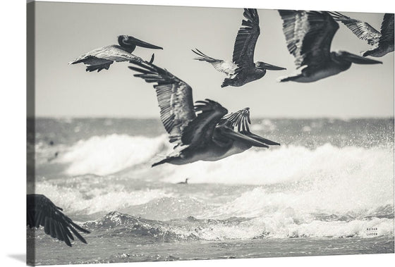 “Pelican Beach“, Nathan Larson