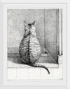 "Sitting cat, from behind", Jean Bernard