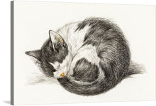  Jean Bernard's "Rolled up lying sleeping cat" (1825) is a charming and evocative depiction of a sleeping cat curled up in a ball.&nbsp;The cat's body is rendered in soft, rounded forms, conveying a sense of comfort and serenity. 