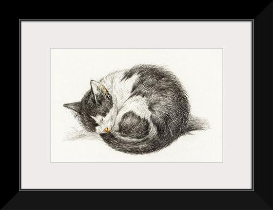 "Rolled up lying sleeping cat", Jean Bernard