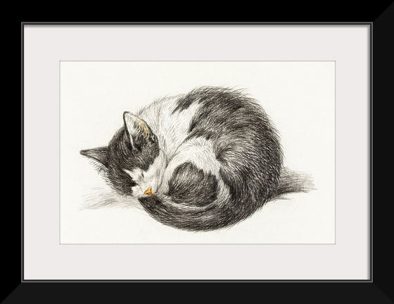 "Rolled up lying sleeping cat", Jean Bernard