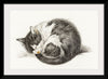 "Rolled up lying sleeping cat", Jean Bernard