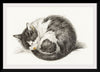 "Rolled up lying sleeping cat", Jean Bernard