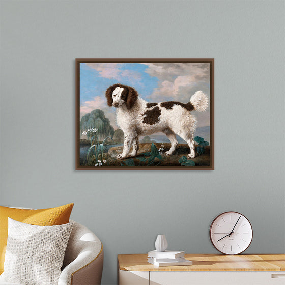 "Brown and White Norfolk or Water Spaniel", George Stubbs