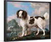 "Brown and White Norfolk or Water Spaniel", George Stubbs