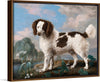 "Brown and White Norfolk or Water Spaniel", George Stubbs