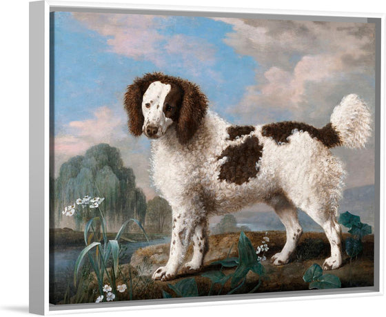 "Brown and White Norfolk or Water Spaniel", George Stubbs