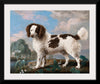 "Brown and White Norfolk or Water Spaniel", George Stubbs