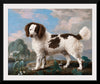 "Brown and White Norfolk or Water Spaniel", George Stubbs