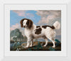 "Brown and White Norfolk or Water Spaniel", George Stubbs