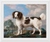 "Brown and White Norfolk or Water Spaniel", George Stubbs