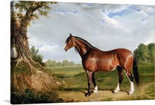  John Frederick Herring Sr.'s "A Clydesdale Stallion" is a magnificent painting that captures the power, grace, and nobility of a Clydesdale stallion. The stallion stands proudly in a field, his muscular body rippling with power and his head held high with confidence. The stallion's coat is rendered in exquisite detail, each strand of hair meticulously painted to capture its texture and shine.