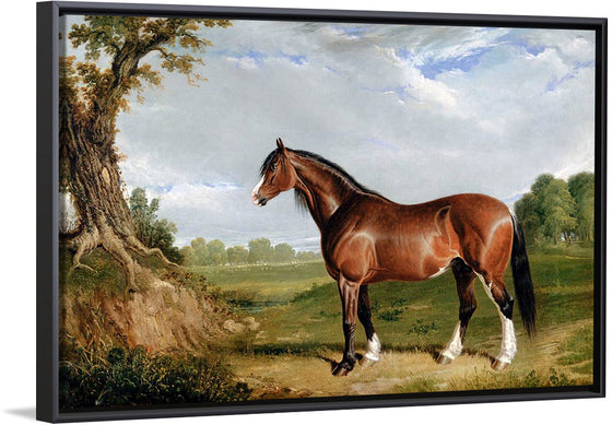 "A Clydesdale Stallion", John Frederick Herring Sr.