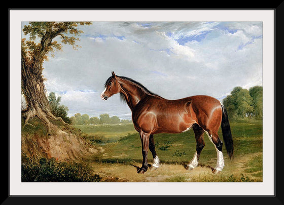 "A Clydesdale Stallion", John Frederick Herring Sr.