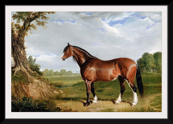 "A Clydesdale Stallion", John Frederick Herring Sr.