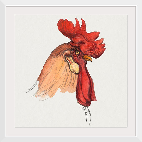 "Head of a Rooster", Samuel Colman