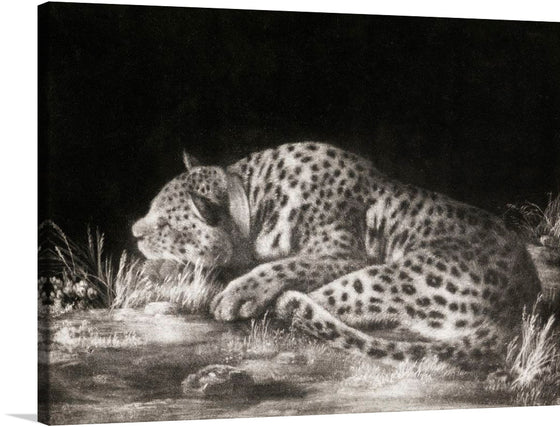George Stubbs' "A Tyger: A Sleeping Cheetah" is a mesmerizing and masterful mezzotint that captures the beauty and serenity of a cheetah at rest. The cheetah is depicted lying on its side in a patch of sunlight, its spotted coat blending in with the dappled shadows. The animal's eyes are closed, and its body is relaxed in a pose of utter contentment.