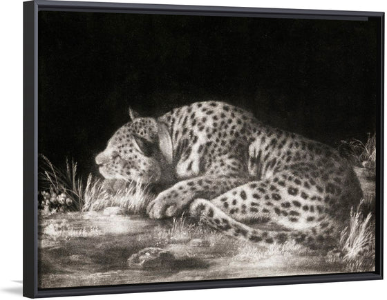 "A Tyger: A Sleeping Cheetah", George Stubbs