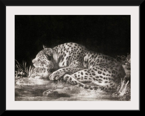 "A Tyger: A Sleeping Cheetah", George Stubbs