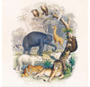 "Cover of A History of the Earth and Animated Nature", Oliver Goldsmith