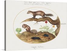  Joris Hoefnagel's Stone Marten, Chipmunk, and Moles with a Marigold and Lettuce (1575–1580) is a delightful and meticulously detailed watercolor and gouache painting that captures the beauty and diversity of small woodland creatures. 