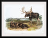 "Moose Deer (Servus alces)", John Woodhouse Audubon