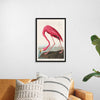 "Pink Flamingo from Birds of America", John James Audubon