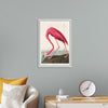 "Pink Flamingo from Birds of America", John James Audubon