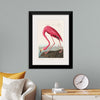 "Pink Flamingo from Birds of America", John James Audubon