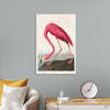 "Pink Flamingo from Birds of America", John James Audubon